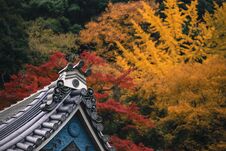Colorful Leaves Autumn Tourism Travel Season Landscape Scenery In Osaka And Kyoto Japan Royalty Free Stock Photography