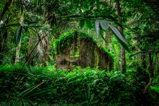 Fabulous Thrown House In A Tropical Forest, Bali Lifstyle Stock Images