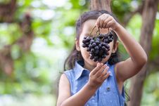 Cute Asian Child Girl Holding Bunch Of Red Grapes Royalty Free Stock Photos