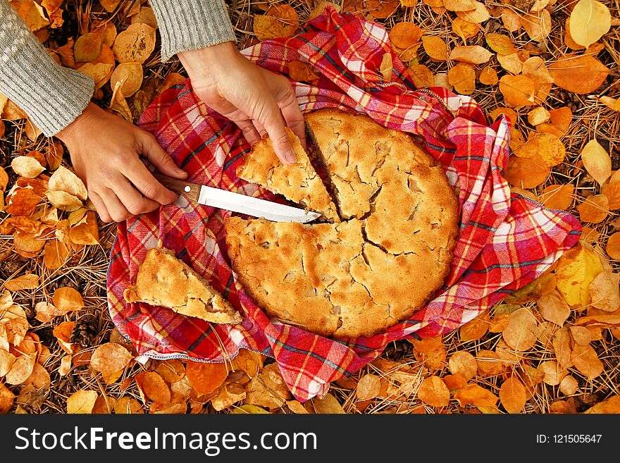Hands of woman with pieces of apple pie on a red checkered towel and dry yellow autumn leaves.