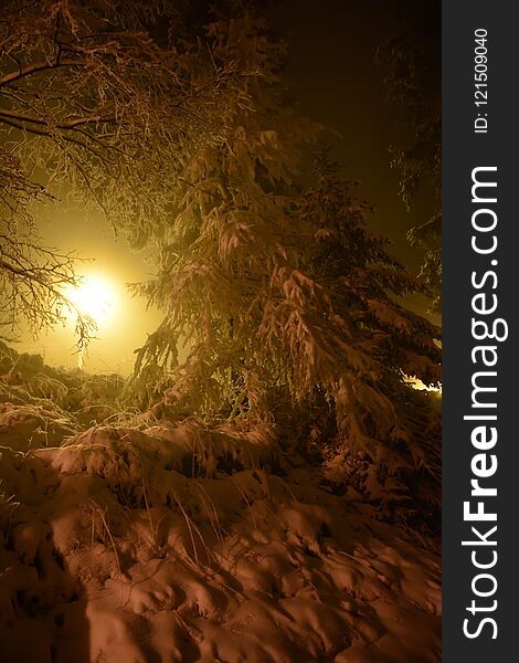 A winter night in the Paltinis area, Sibiu, Romania. Christmas time!. A winter night in the Paltinis area, Sibiu, Romania. Christmas time!