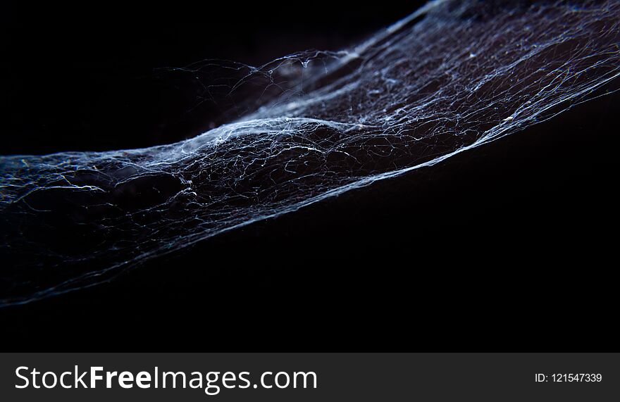 Cobweb or spider web