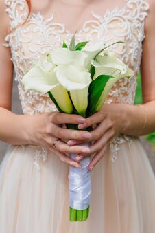 Bouquet Of White Calla Flowers In Bride`s Hands. Stock Photography