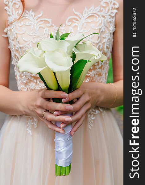 Bouquet Of White Calla Flowers In Bride`s Hands.