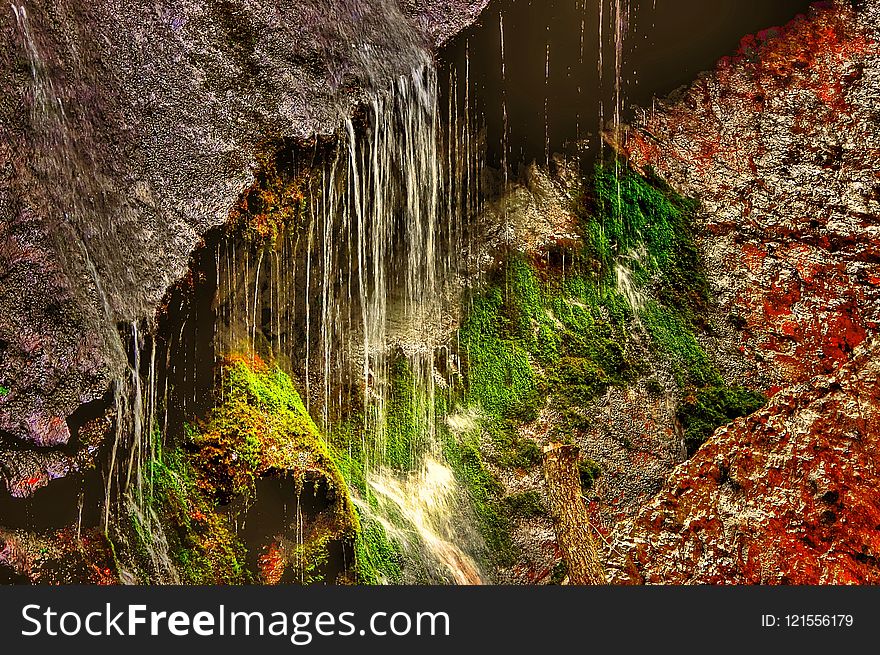 Water, Nature, Vegetation, Leaf