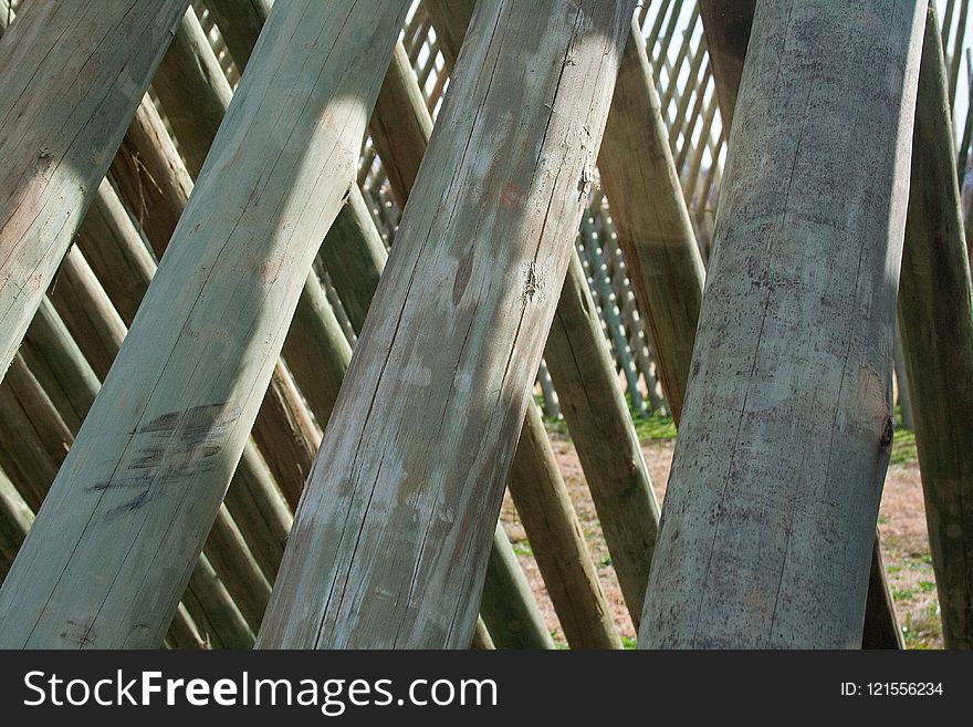 Tree, Structure, Wood, Outdoor Structure