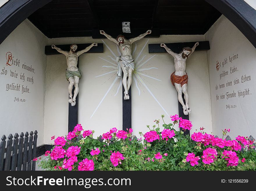Flower, Religious Item, Flora, Crucifix