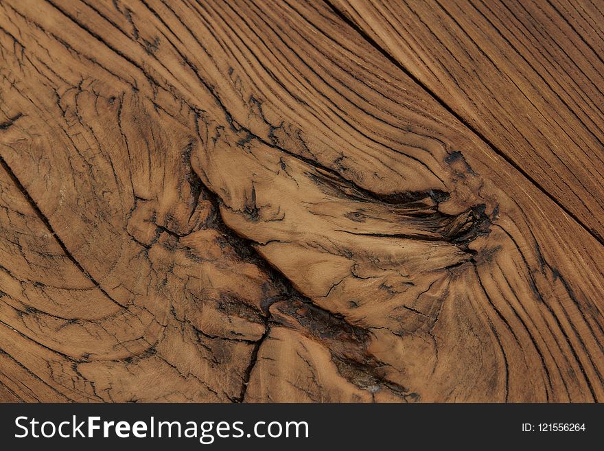 Wood, Close Up, Geology, Tree