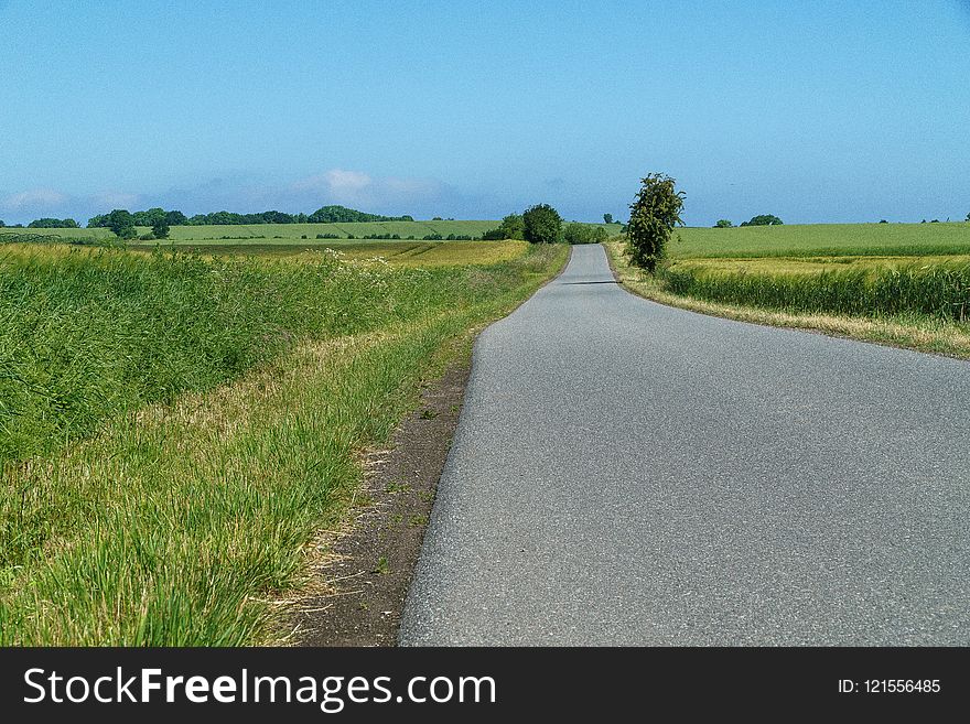 Road, Path, Field, Grassland