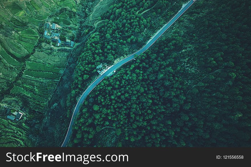Water, Aerial Photography, Green, Reef
