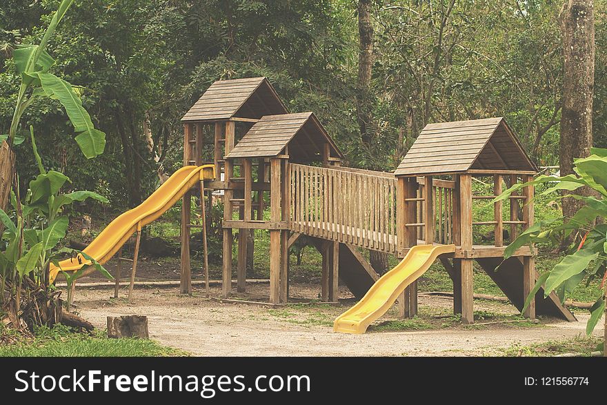 Public Space, Playground, Chute, Tree
