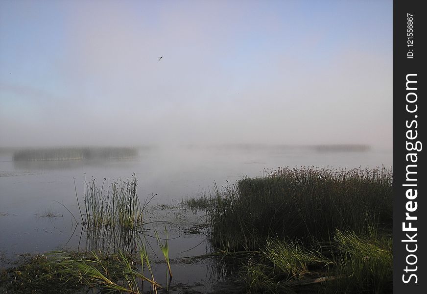 Fog, Mist, Wetland, Sky