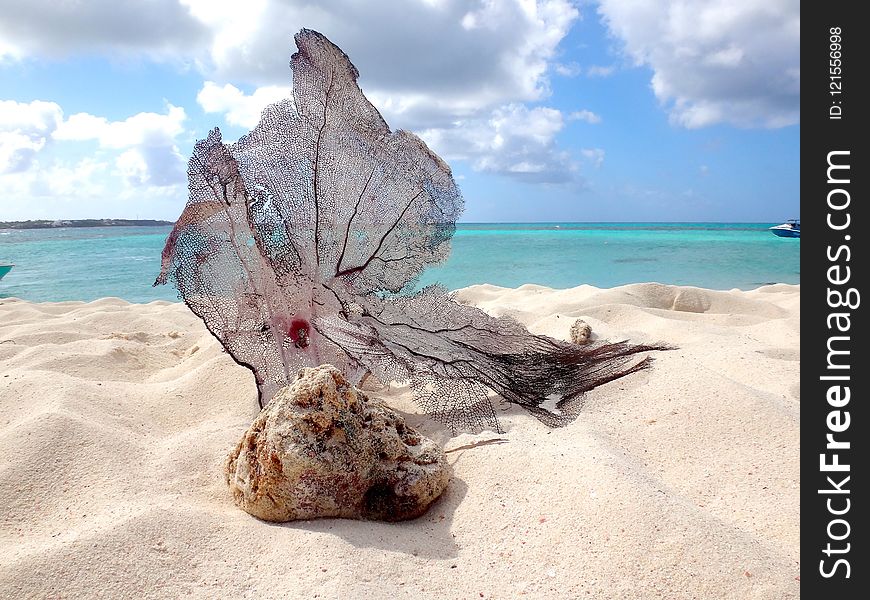 Shore, Coastal And Oceanic Landforms, Coast, Rock