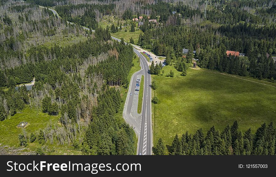 Mountain Pass, Wilderness, Road, Path