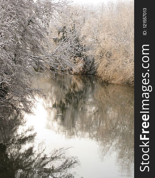 Reflection, Water, Waterway, Tree