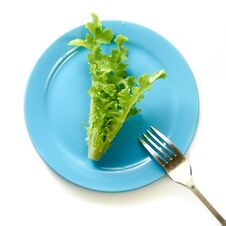Green Leaf Salad On Plate. Royalty Free Stock Photography