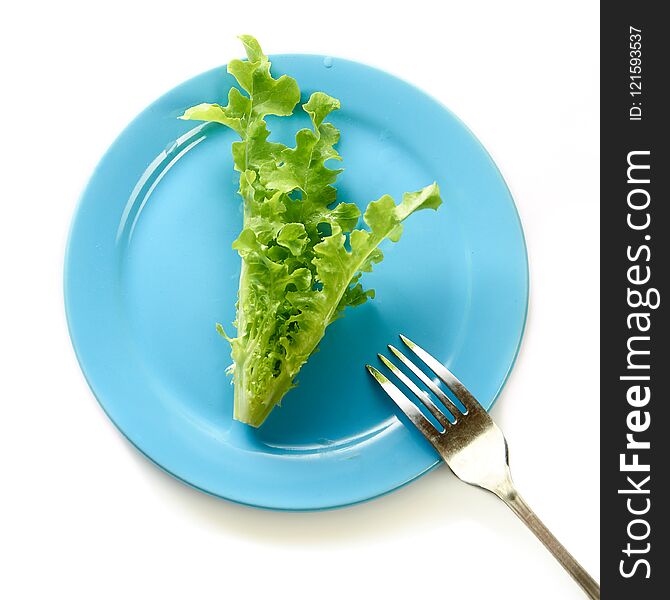 Fresh green leaf lettuce on a blue plate. Fresh green leaf lettuce on a blue plate.