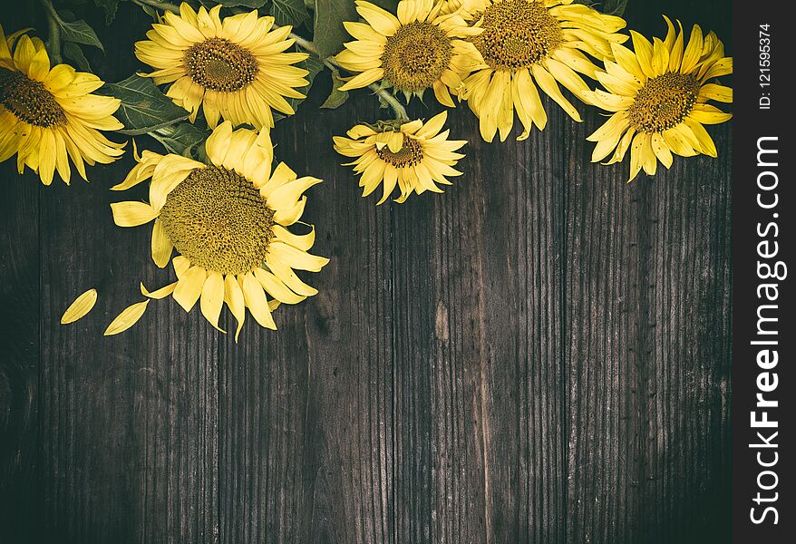 A bouquet of blooming yellow sunflowers on a brown wooden background, vintage toning, copy space