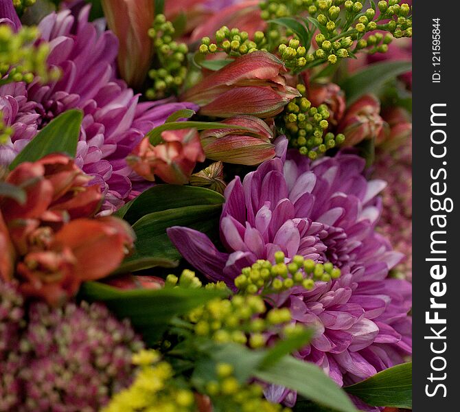 Beautiful bouquet beautiful and unusual flowers