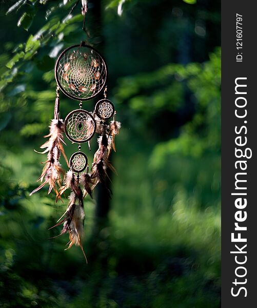 Dreamcatcher, american native amulet in forest. Shaman