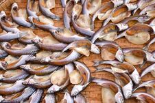 Fish Drying In The Sun On Bamboo Basket Royalty Free Stock Photo