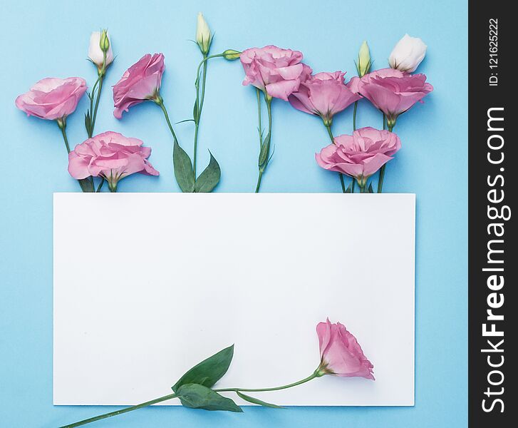 Flowers composition. Wreath made of pink flowers with white paper card on blue background. Flat lay, top view, copy space.