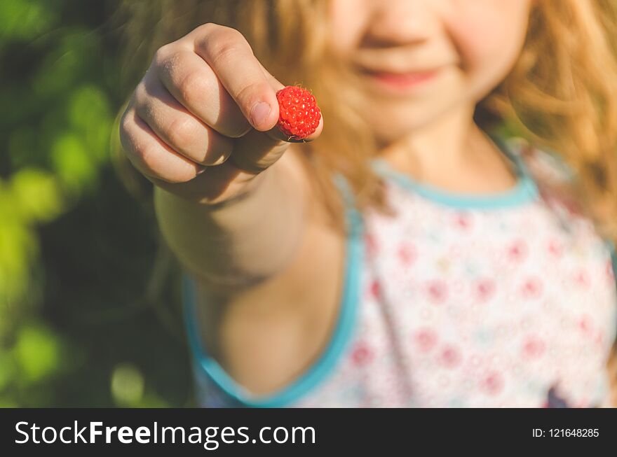 The Child Collects In A Can And Eat, Raspberries