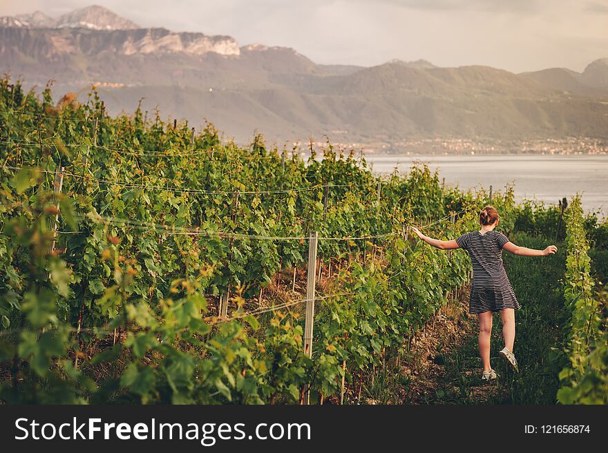 Summer portrait of a cute little girl in vineyard at sunset, admiring lake Geneva and mountains in Haute-Savoie, Auvergne-Rhone-Alpes region. Summer portrait of a cute little girl in vineyard at sunset, admiring lake Geneva and mountains in Haute-Savoie, Auvergne-Rhone-Alpes region