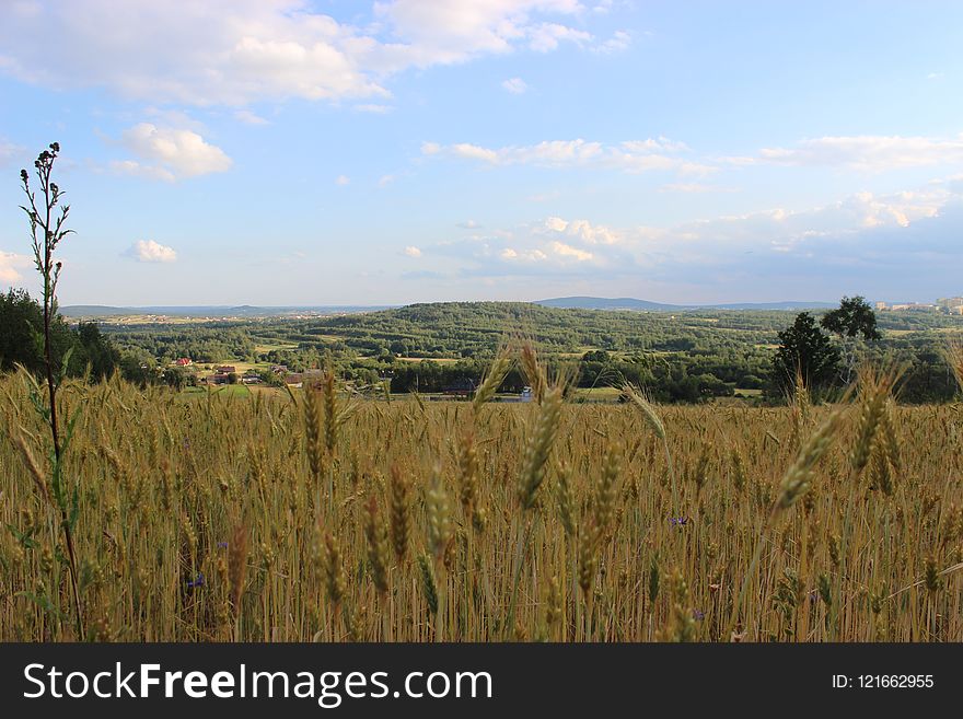 Ecosystem, Sky, Grassland, Prairie