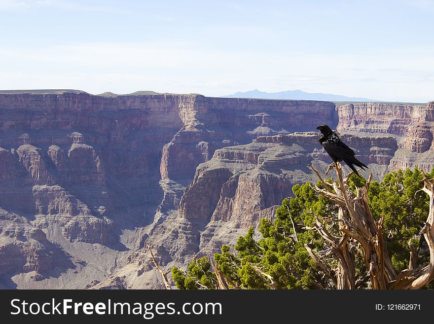 Canyon, National Park, Rock, Escarpment