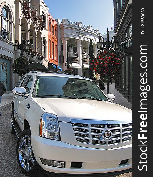 Car, Land Vehicle, Luxury Vehicle, Motor Vehicle