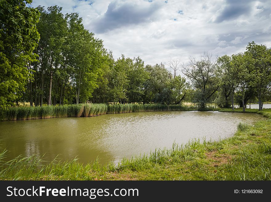 Waterway, Water, Nature, Reflection