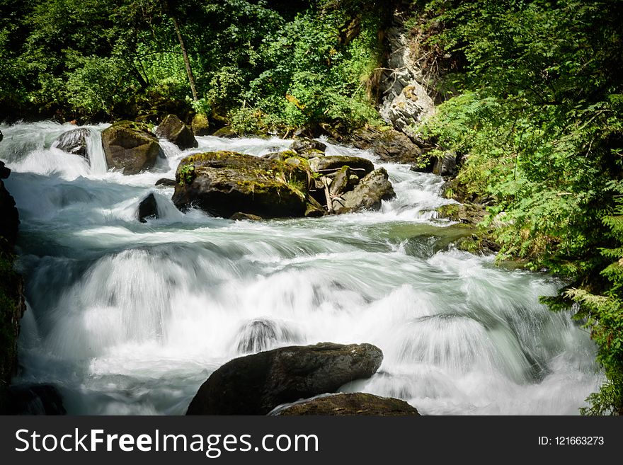 Water, Stream, Nature, Watercourse