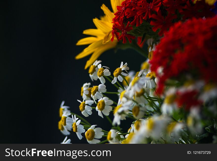 a colorful bouquet of bright spring flowers of various types, close-up. a colorful bouquet of bright spring flowers of various types, close-up