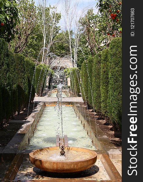 Water, Tree, Water Feature, Fountain