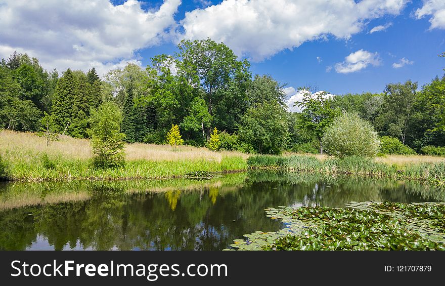 Reflection, Nature, Water, Nature Reserve