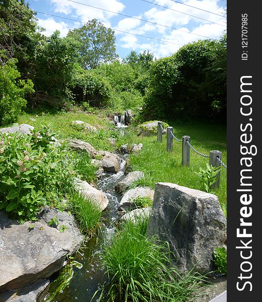 Vegetation, Nature Reserve, Garden, Watercourse