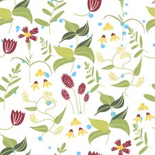 Botanical Floral Seamless Pattern. Vector Flower Print. Royalty Free Stock Photo