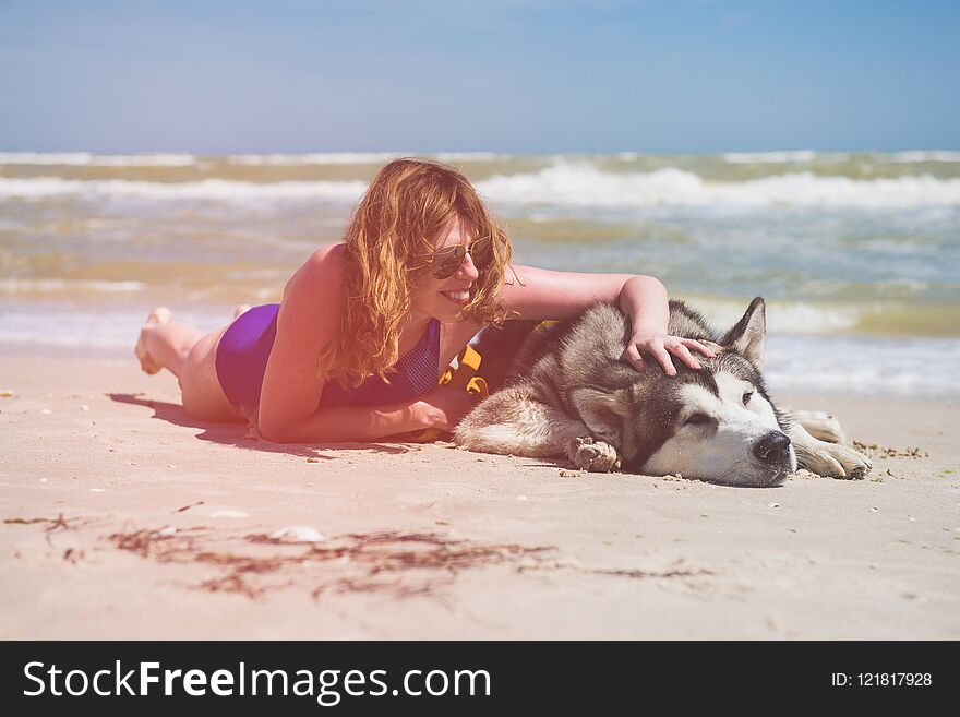 Woman put hand at husky dog at beach