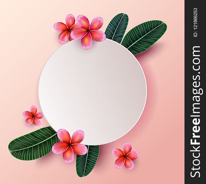 Pink Plumaria flower with copy space, Summertime. Happy holidays. Invitation, Wedding card.
