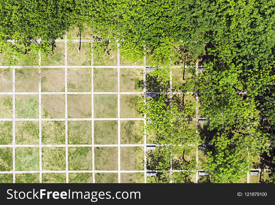 Rational Urban Landscape Design. Top View of Regular Net in the Green Park in Shenzhen, China.