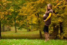 Beautiful Pregnant Woman Outdoor In Park On Autumn Afternoon Wit Royalty Free Stock Image Beautiful Pregnant Woman Outdoor In Park On Autumn Afternoon Wit Royalty Free Stock Image