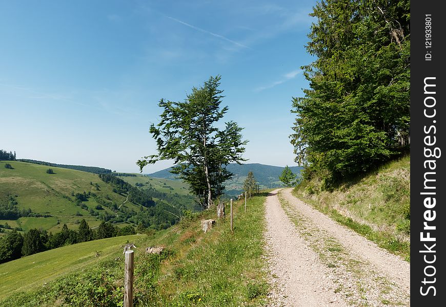 Road, Path, Sky, Vegetation