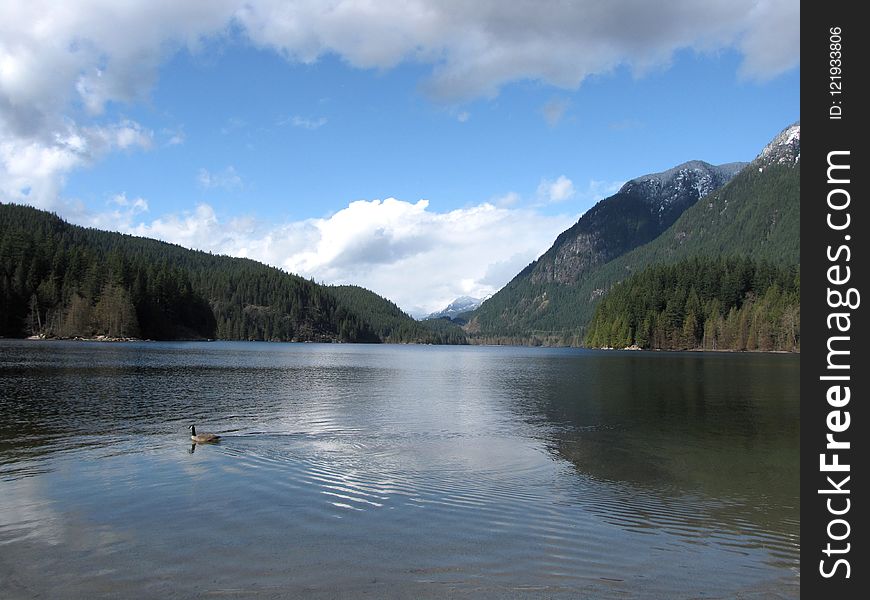 Lake, Water, Nature, Reflection