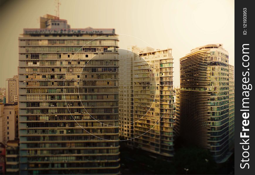 Urban Area, Skyscraper, Metropolis, Building