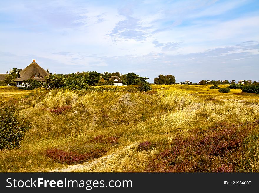Grassland, Ecosystem, Prairie, Sky