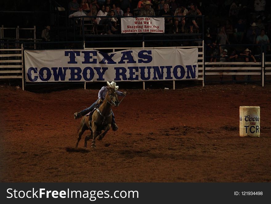 Animal Sports, Rodeo, Western Riding, Event
