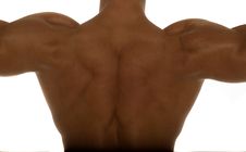 Muscular Body Builder Stock Photo Muscular Body Builder Stock Photo