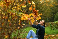 Maple Leaves Royalty Free Stock Photography Maple Leaves Royalty Free Stock Photography