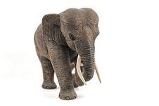Wooden Elephant Royalty Free Stock Photography